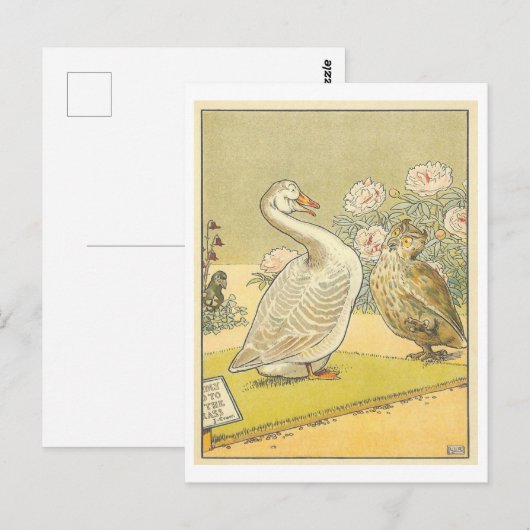 Vreemde  Illustratie met Gans en Uil Briefkaart (Voorkant / Achterkant)