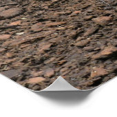 Vreemde kalkoen. poster (Hoek)