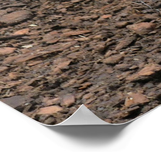 Vreemde kalkoen. poster (Hoek)