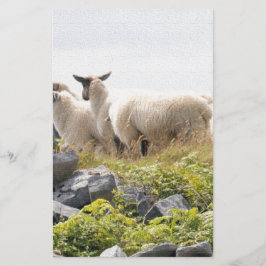 Vreemde Ontwerpen - Schapen in een veld Briefpapier