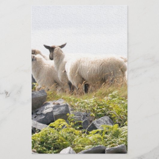 Vreemde Ontwerpen - Schapen in een veld Briefpapier (Voorkant)