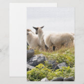 Vreemde Ontwerpen - Schapen in een veld Briefpapier (Voorkant / Achterkant)