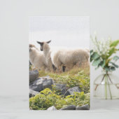 Vreemde Ontwerpen - Schapen in een veld Briefpapier (Staand voorkant)