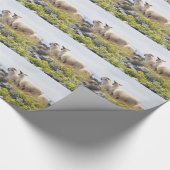 Vreemde Ontwerpen - Schapen in een veld Cadeaupapier (Hoek)