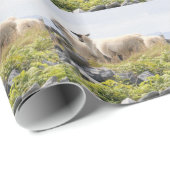Vreemde Ontwerpen - Schapen in een veld Cadeaupapier (Rol Hoek)