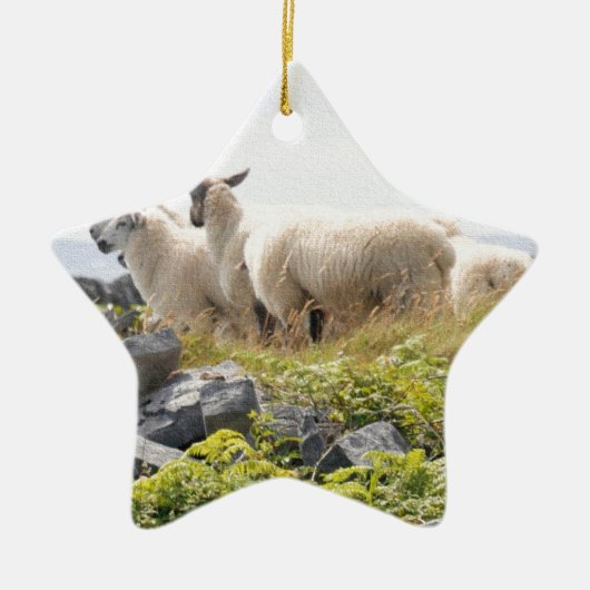 Vreemde Ontwerpen - Schapen in een veld Keramisch Ornament (Voorkant)