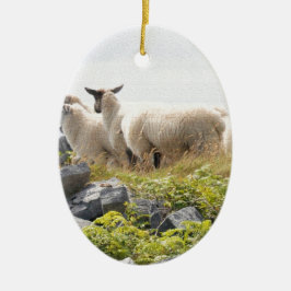 Vreemde Ontwerpen - Schapen in een veld Keramisch Ornament