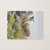 Vreemde Ontwerpen - Schapen in een veld Legpuzzel (Horizontaal)