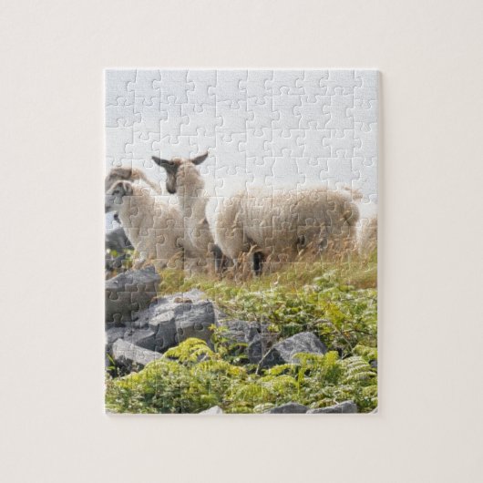 Vreemde Ontwerpen - Schapen in een veld Legpuzzel (Verticaal)