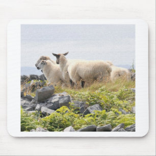 Vreemde Ontwerpen - Schapen in een veld Muismat