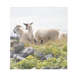 Vreemde Ontwerpen - Schapen in een veld Notitieblok