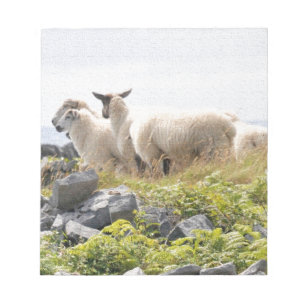 Vreemde Ontwerpen - Schapen in een veld Notitieblok