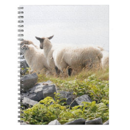 Vreemde Ontwerpen - Schapen in een veld Notitieboek