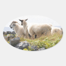 Vreemde Ontwerpen - Schapen in een veld Ovale Sticker