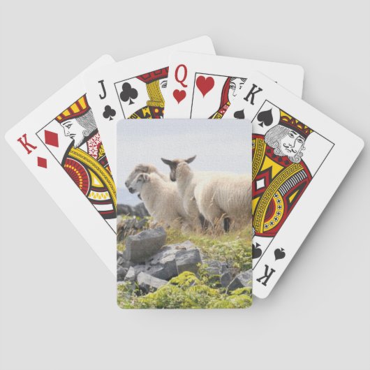 Vreemde Ontwerpen - Schapen in een veld Pokerkaarten (Achterkant)
