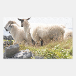 Vreemde Ontwerpen - Schapen in een veld Rechthoekige Sticker