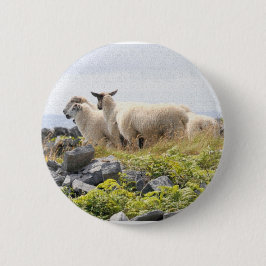 Vreemde Ontwerpen - Schapen in een veld Ronde Button 5,7 Cm