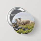 Vreemde Ontwerpen - Schapen in een veld Ronde Button 5,7 Cm (Voorkant /achterkant)