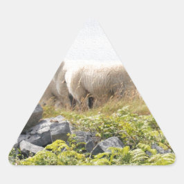 Vreemde Ontwerpen - Schapen in een veld Sticker