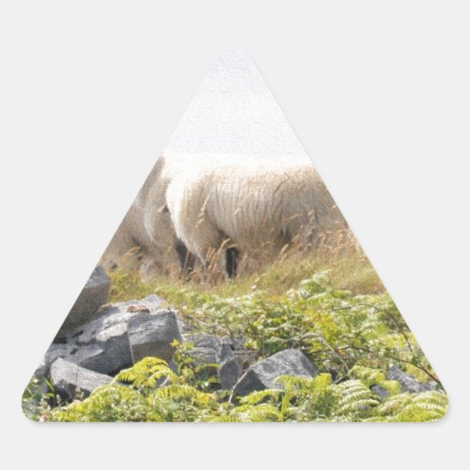 Vreemde Ontwerpen - Schapen in een veld Sticker (Voorkant)