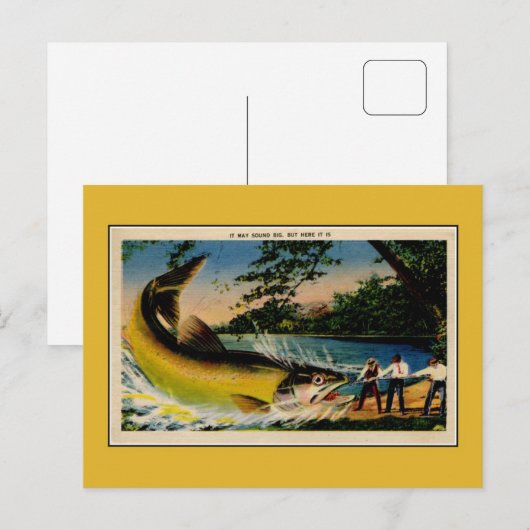 Vreemde  overdreven visserij briefkaart (Voorkant / Achterkant)