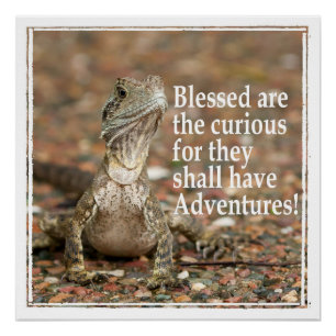 Vreemde Quote Perfect Poster