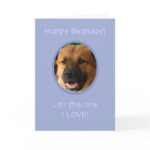 Vreemde verjaardag van Dog tot eigenaar van Love