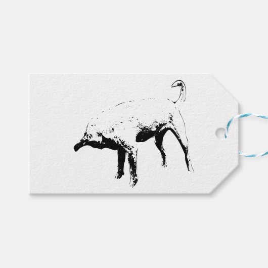 Vreemde vonk aan lint cadeaulabel (Voorkant (Horizontaal))