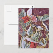 VREEMDE VROUWERS BRIEFKAART (Voorkant / Achterkant)