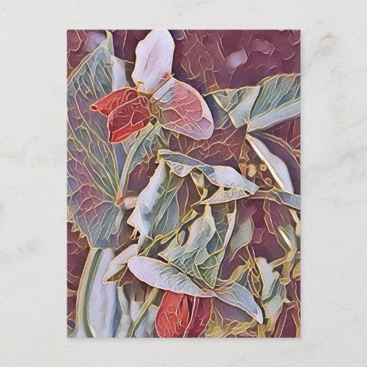 VREEMDE VROUWERS BRIEFKAART (Voorkant)