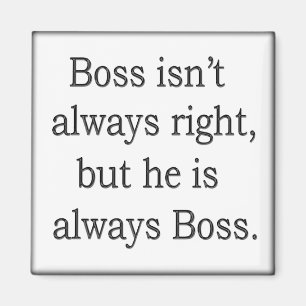 Vreemde woorden van wijsheid 17 magneet