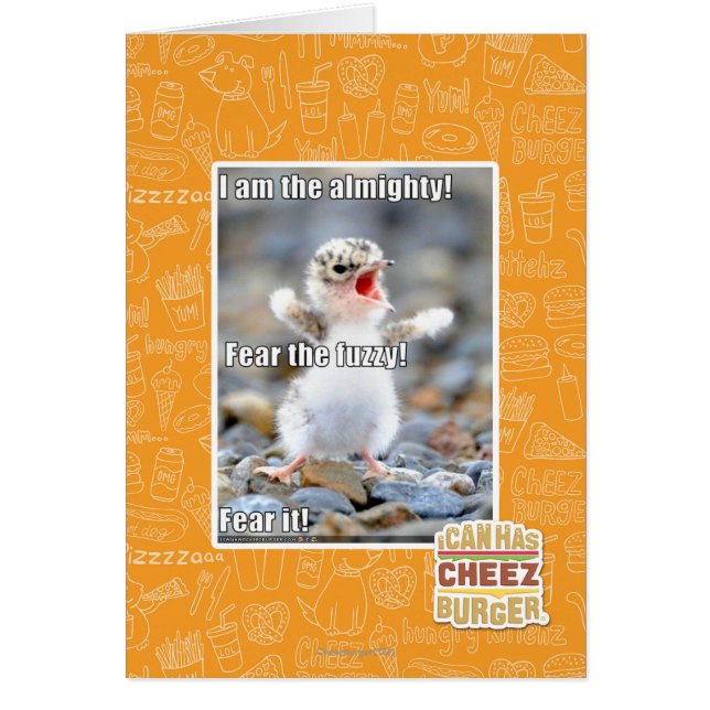 Vrees de Fuzzy! (Voorkant)