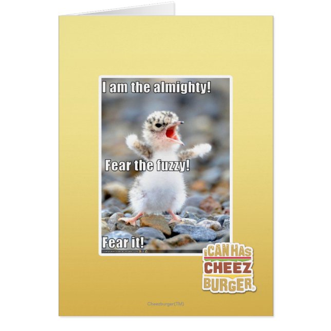 Vrees de Fuzzy! (Voorkant)