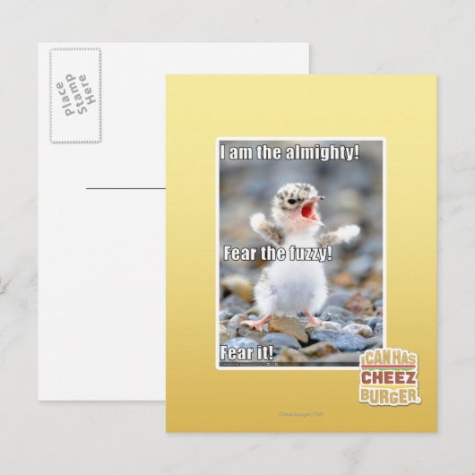 Vrees de Fuzzy! Briefkaart (Voorkant / Achterkant)
