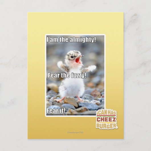 Vrees de Fuzzy! Briefkaart (Voorkant)