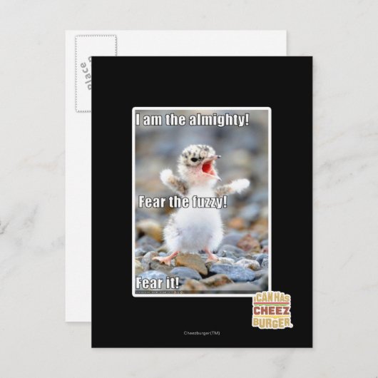 Vrees de Fuzzy! Briefkaart (Voorkant / Achterkant)