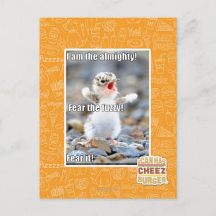 Vrees de Fuzzy! Briefkaart