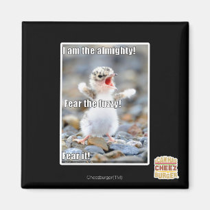Vrees de Fuzzy! Magneet