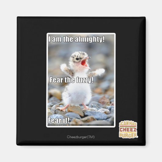 Vrees de Fuzzy! Magneet (Voorkant)