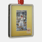 Vrees de Fuzzy! Metalen Ornament (Rechts)
