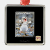 Vrees de Fuzzy! Metalen Ornament (Voorkant)