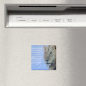 "Vrees niet, ik ben bij de Lion Magnet (Insitu (Vaatwasser))