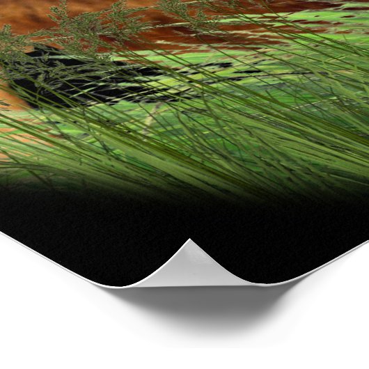 Vrees niet voor mij met de poster (Hoek)