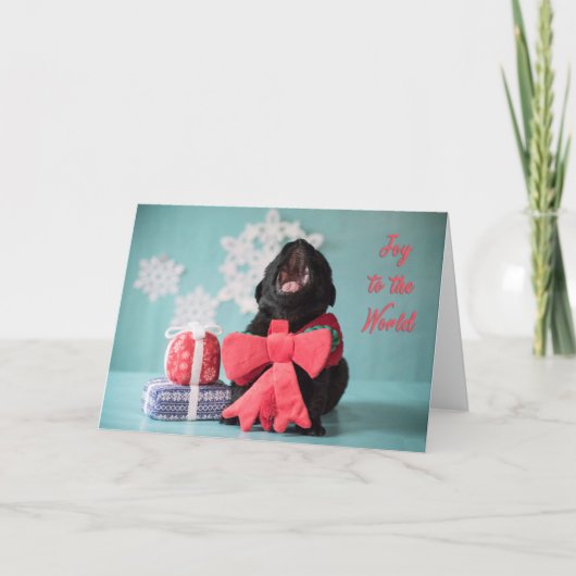 Vreugde aan de het puppykaart van wereldKerstmis Feestdagen Kaart (Voorkant)