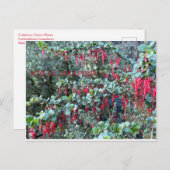 VREUGDE JANUARI! BRIEFKAART (Voorkant / Achterkant)