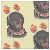 Vreugdevolle zwarte labrador retriever hondenstof stof (Close Up)