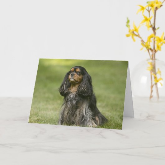Vriend als u Arrogante Koning Charles Spaniel Card Kaart (Gele Bloem)