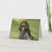 Vriend als u Arrogante Koning Charles Spaniel Card Kaart (Voorkant)