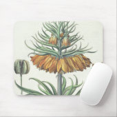 Vriend: Corona Imperialis florum classe duplic Muismat (Met muis)