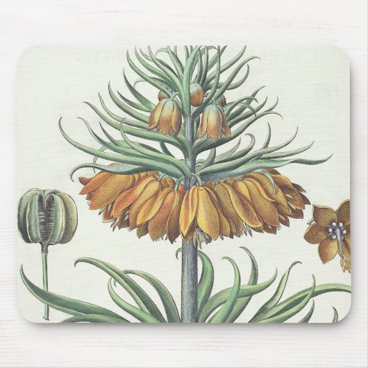 Vriend: Corona Imperialis florum classe duplic Muismat (Voorkant)